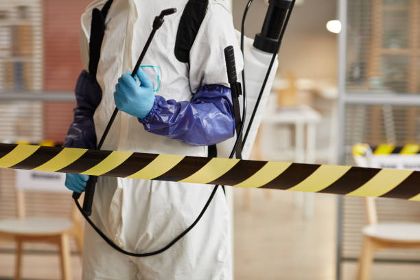 Professional Sewage Cleanup technician working in Hawthorne, NV
